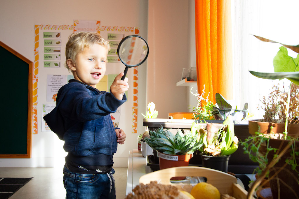 International Montessori School New World