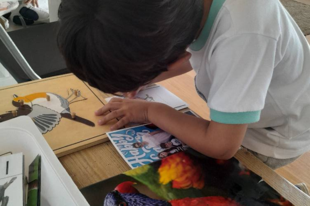 International Montessori School -Elementary 1